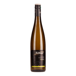 Wolfberger | Muscat